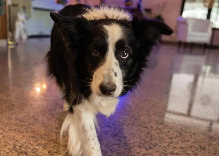 Baby Otel Milano Marittima