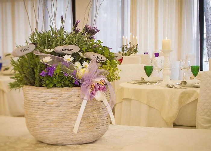 Baby Otel Milano Marittima