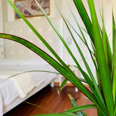 Hotel Baby Milano Marittima