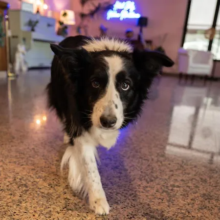 Baby Hotel Milano Marittima