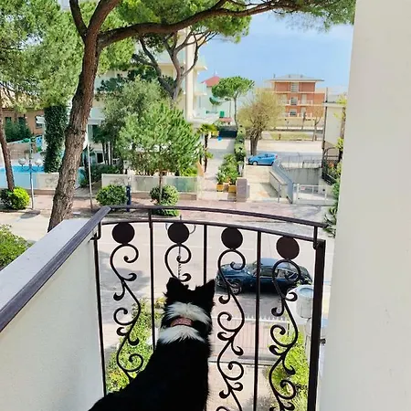 Baby 3* Морской Милан